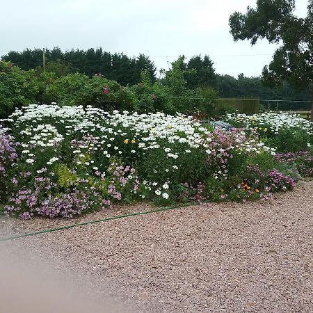 Shangri-La Bed And Breakfast Leuchars Exterior photo